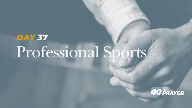 Day 37: Professional Sports