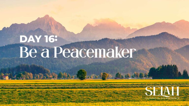 Day 16 – Be a Peacemaker
