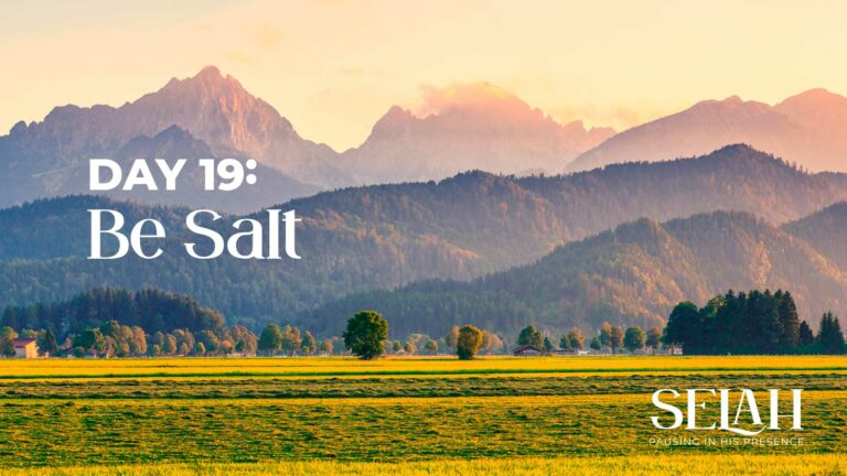 Day 19 – Be Salt