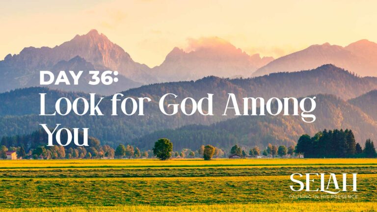 Day 36 – Look for God Among You