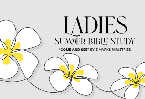 ladies summer bible study