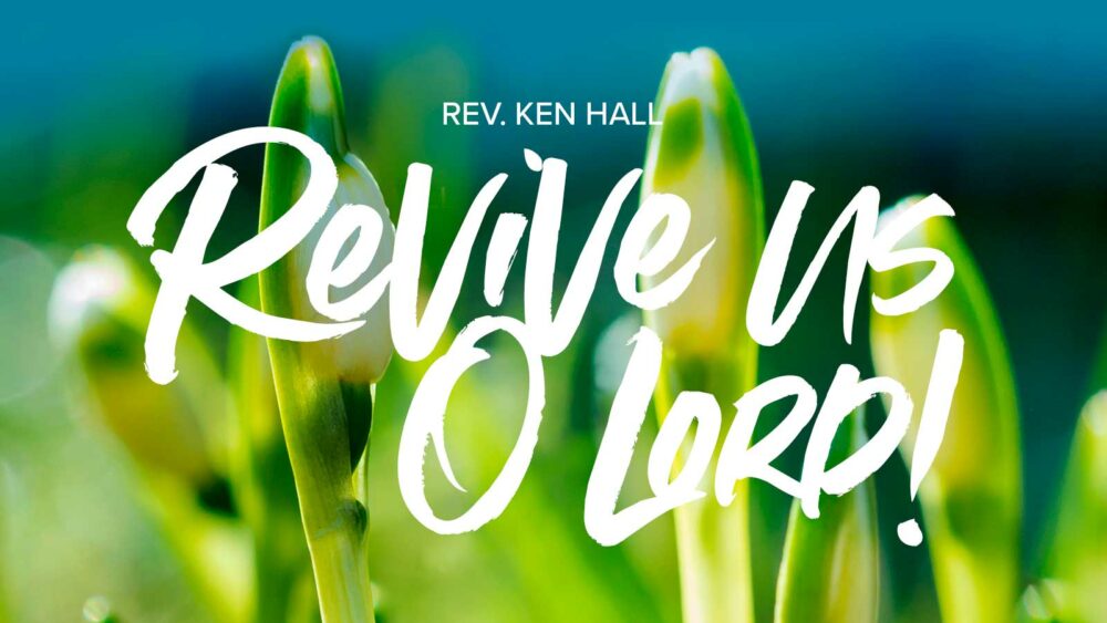 Revive Us O Lord! Image
