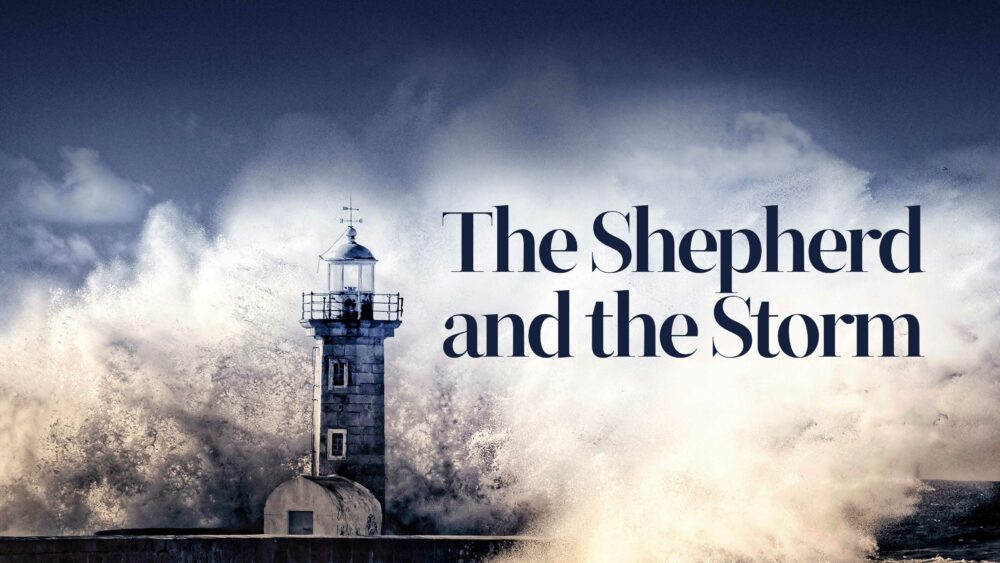 The Shepard and the Storm Image