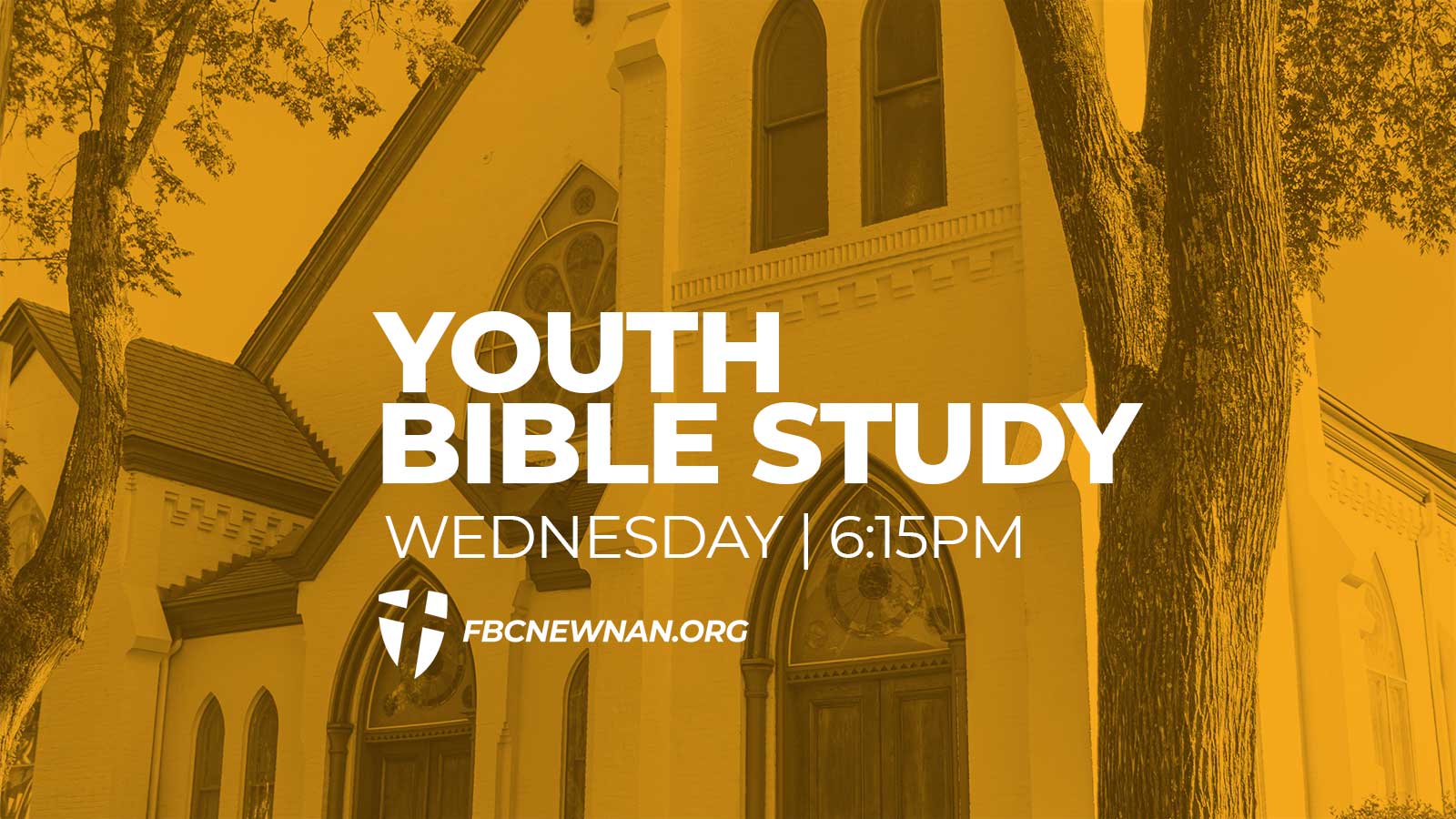YOUTH BIBLE STUDY