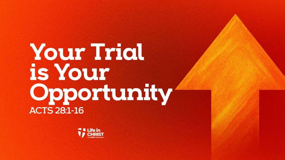 Your Trial is Your Opportunity