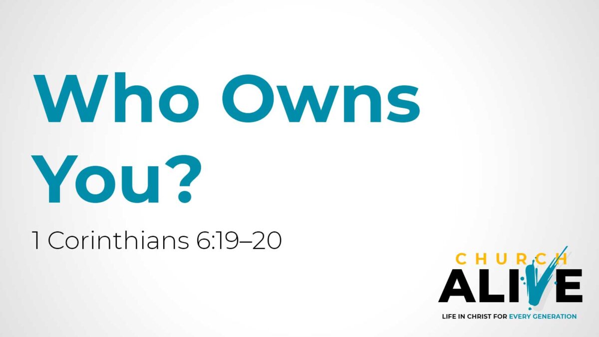 Who Owns You?