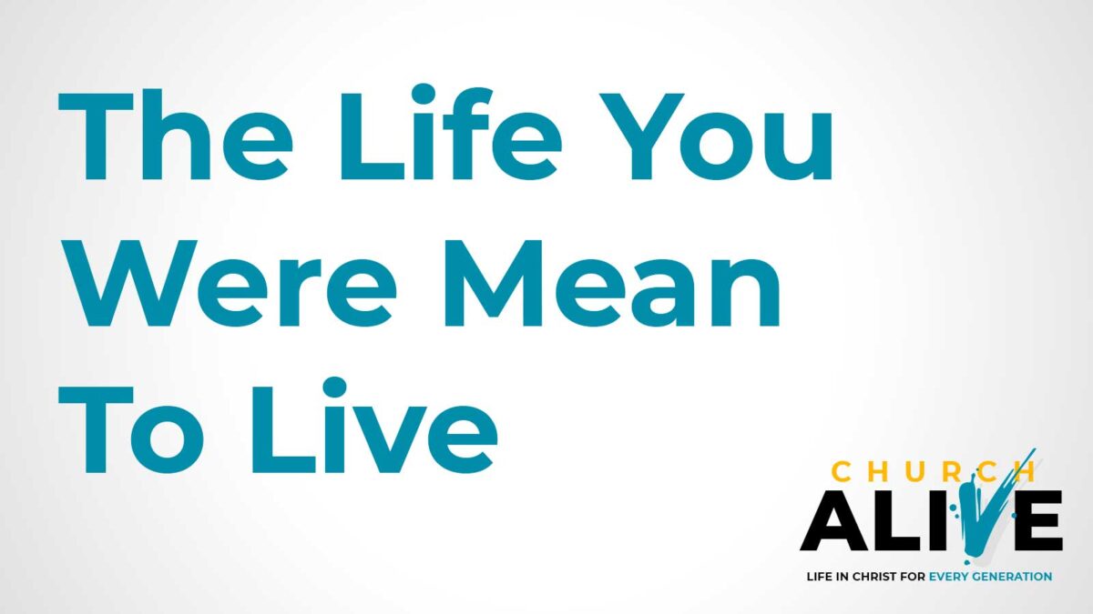 The Life You Were Meant To Live