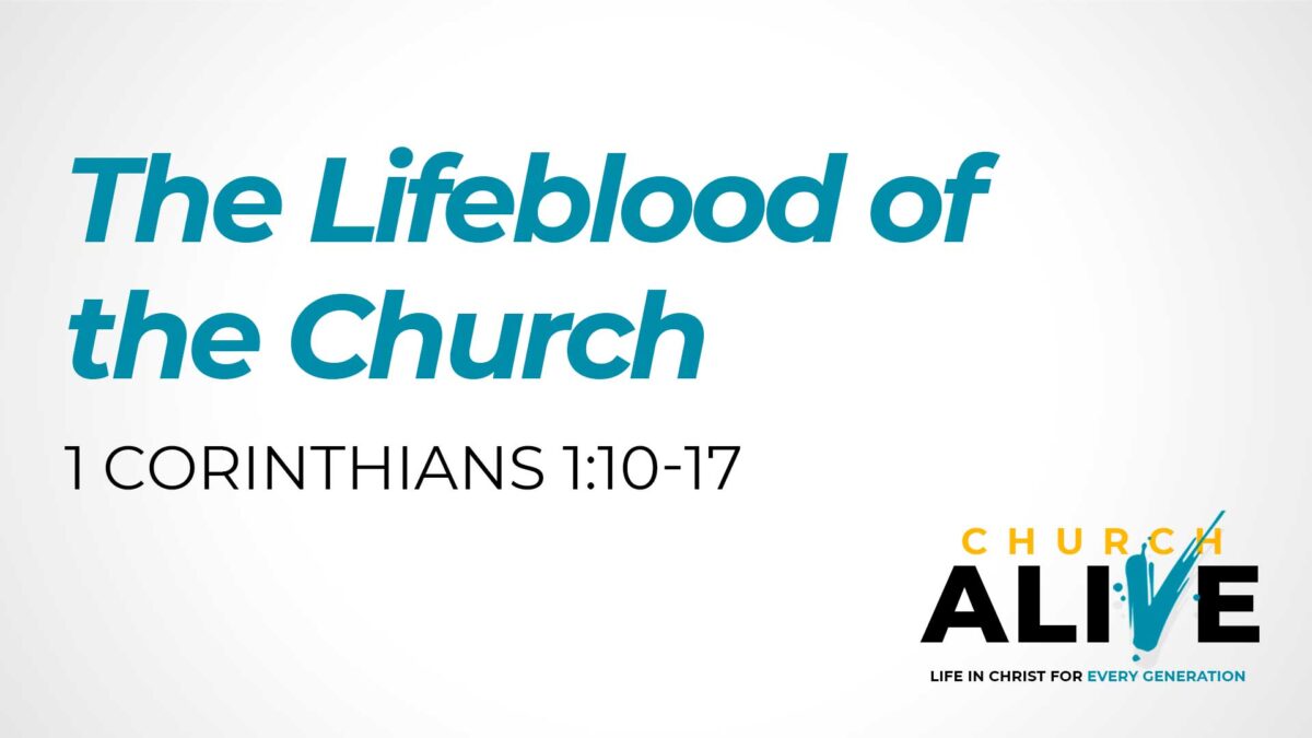 The Lifeblood of the Church